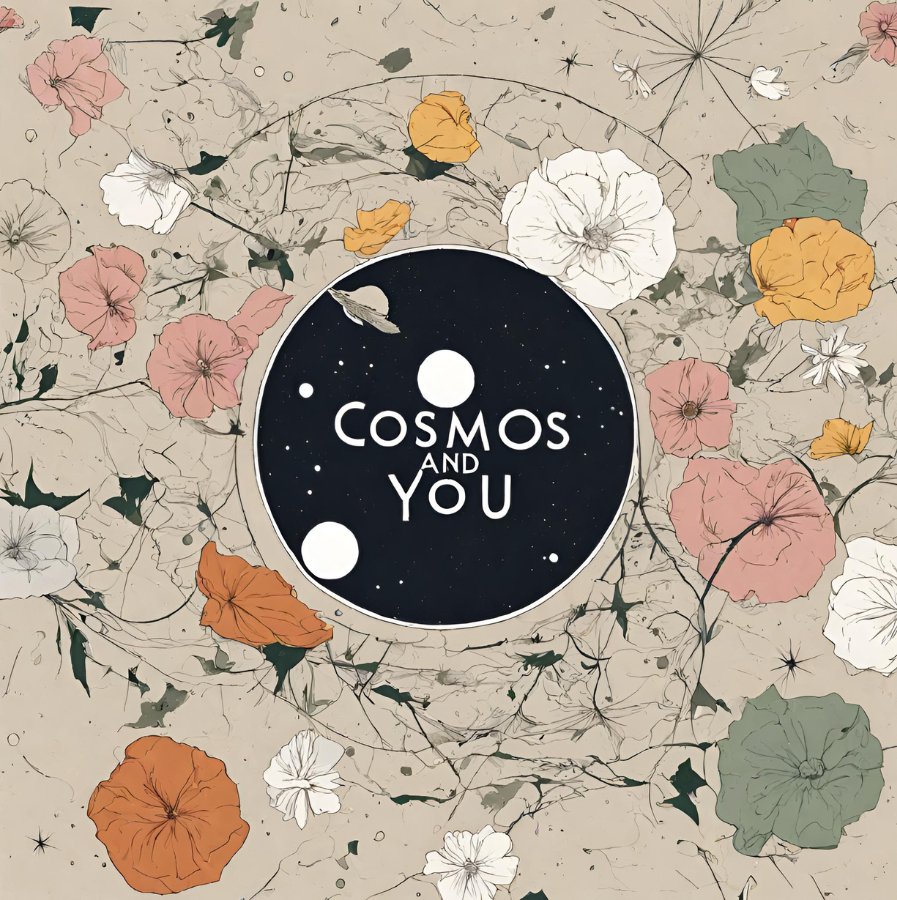 Cosmos and You Transcripts